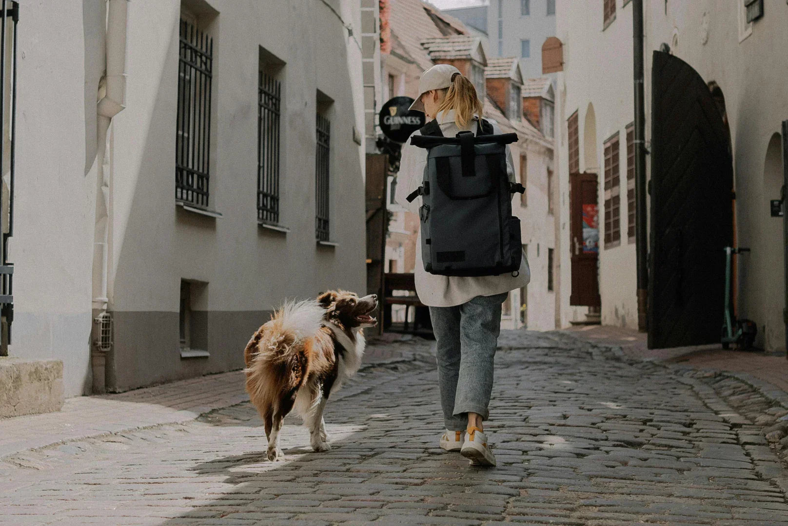 Leben mit Hund in der Stadt: Routinen, Rücksicht & Lebensqualität