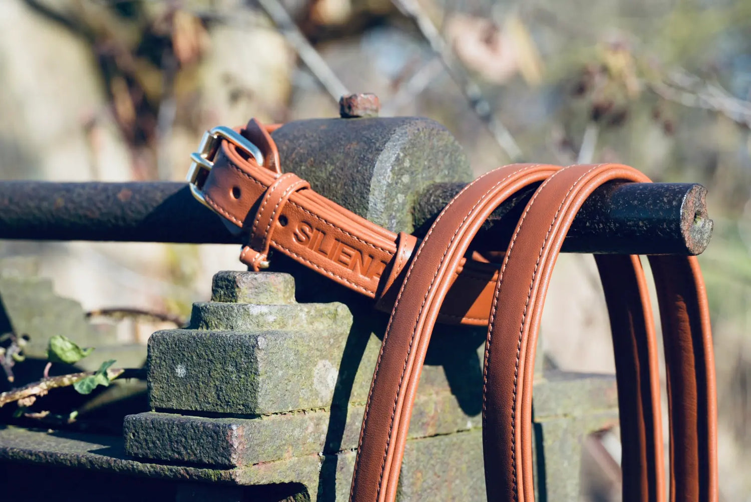 Echtleder vs. Kunstleder – Warum echtes Leder die bessere Wahl für Hundezubehör ist