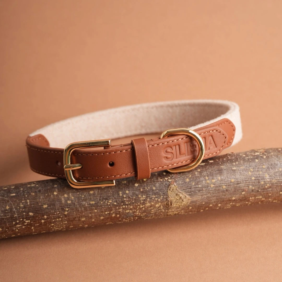 Elegantes Hundehalsband light in Braun mit goldener Schnalle aus Leder und Stoff, dekorativ auf einem Ast platziert.