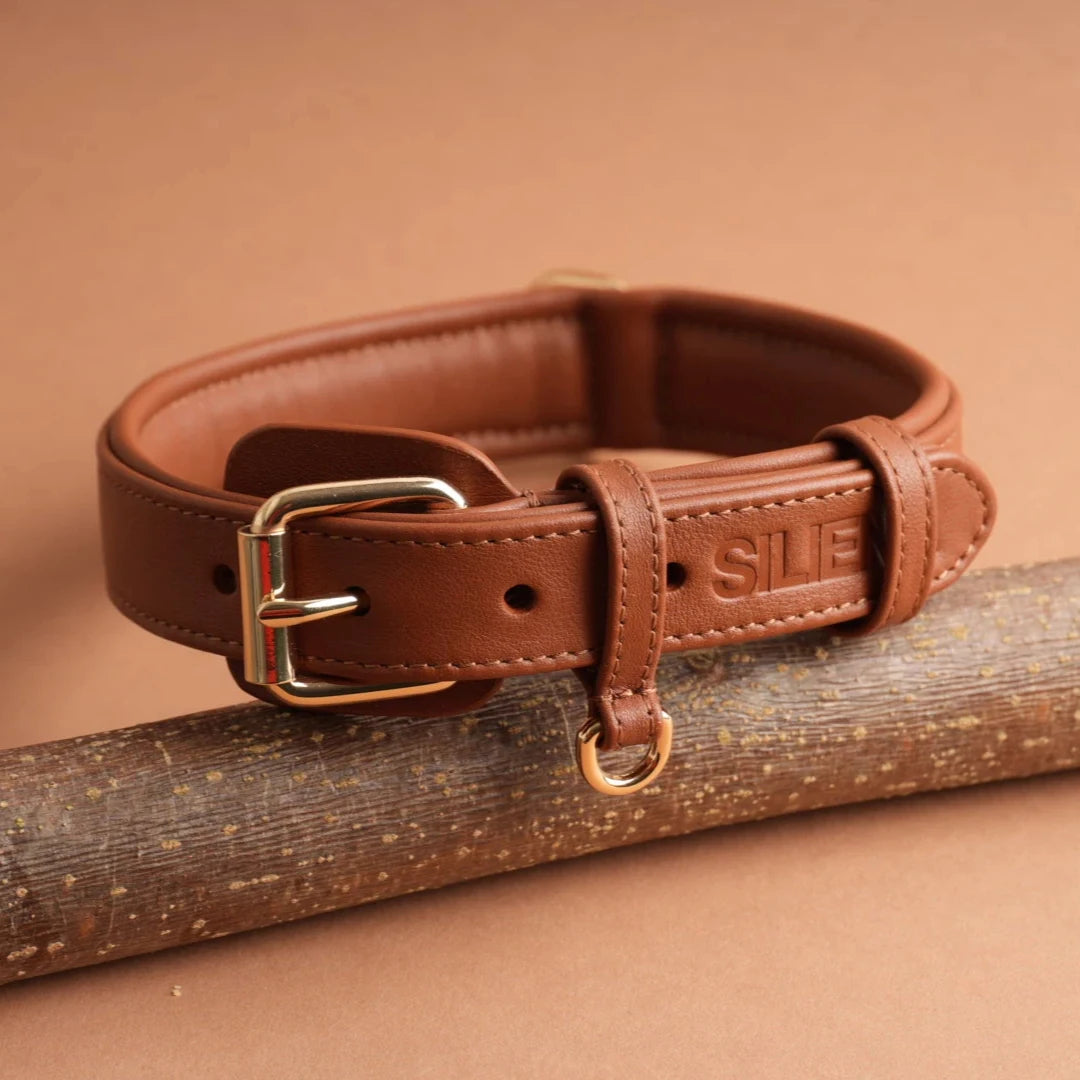 Hundehalsband aus braunem Echtleder von Siliena mit goldener Schnalle auf naturfarbenem Hintergrund.