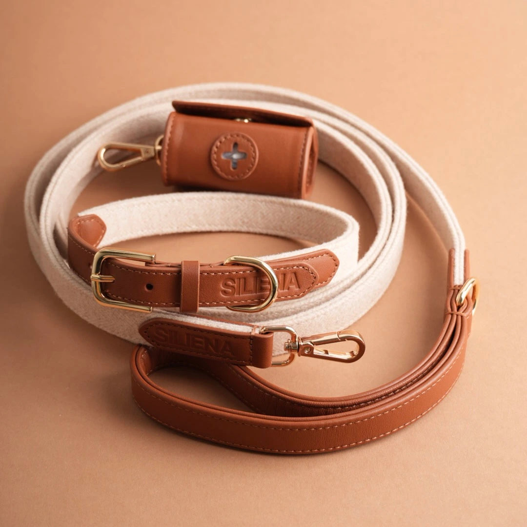 Hochwertige Hundeleine in Beige mit braunem Ledergriff und goldener Befestigungsschlaufe, auf beigem Untergrund.