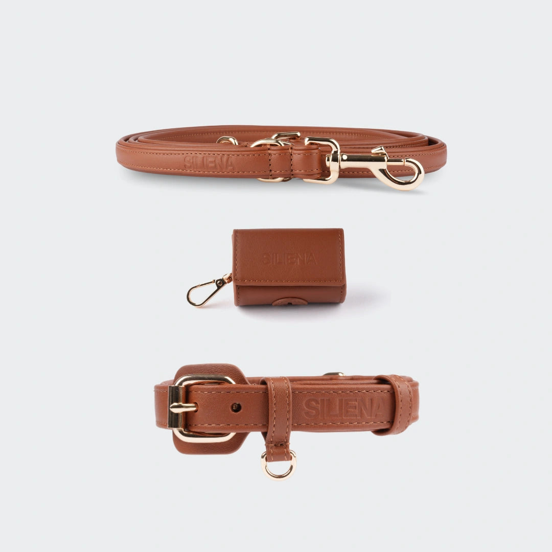 Siliena Classic Set in Braun, bestehend aus Hundehalsband, Hundeleine und Kotbeutelhalter aus Leder mit goldenen Beschlägen.