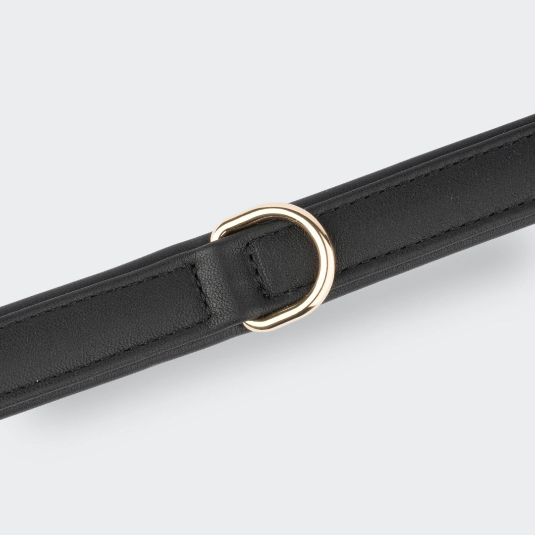 Nahaufnahme eines schwarzen Hundehalsbands aus Leder mit goldenem D-Ring.
