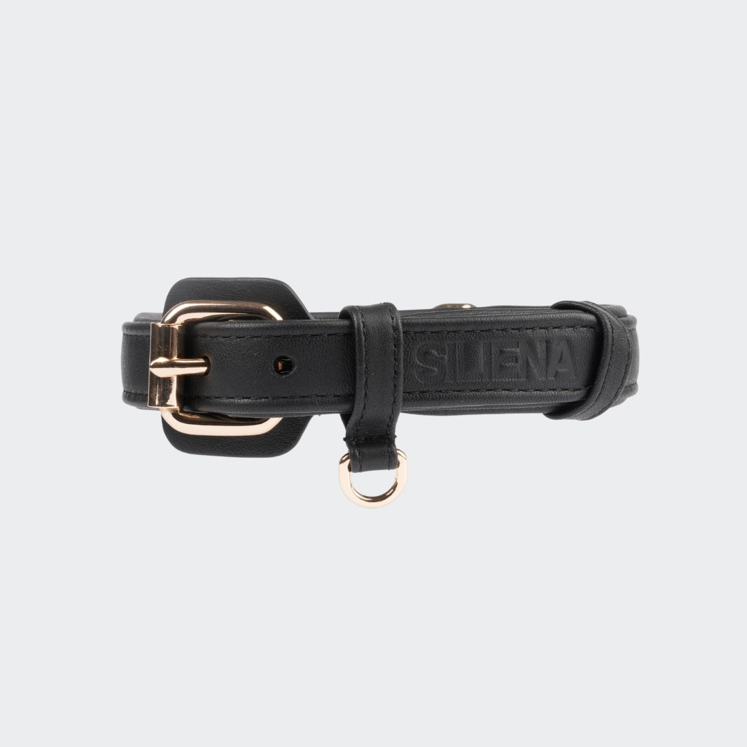 Schwarzes Hundehalsband aus Leder mit goldener Schnalle und eingeprägtem SILIENA Logo.