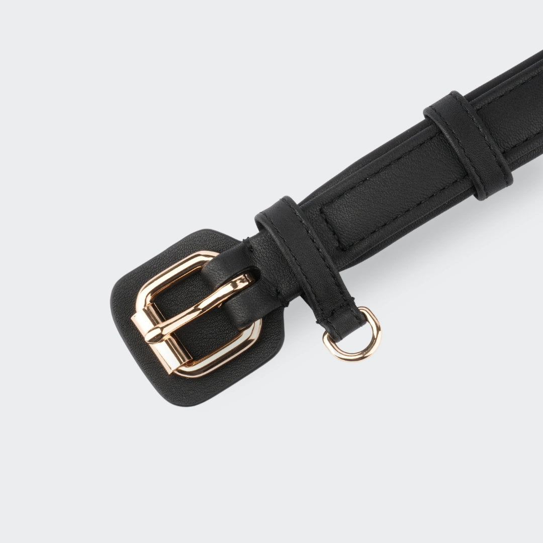 Detailaufnahme der Schnalle eines schwarzen Hundehalsbands mit goldener Hardware.