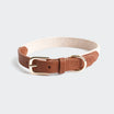 Hundehalsband Light Braun aus Echtleder und beigefarbenem Stoff mit eingeprägtem „SILENA“ Logo und goldenen Metallelementen.