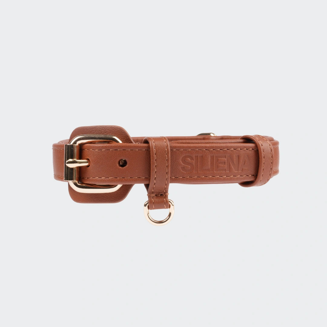 Komplettansicht des braunen Siliena Hundehalsbands mit eingeprägtem Logo und goldener Schnalle.